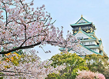 MK体育官方网站-官方：恩里克正式回归 出任西班牙国家队主帅